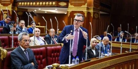وزير التخطيط لـ “الشيوخ”: خطة 2026/2027 “ديناميكية” لمواجهة الصدمات الاقتصادية العالمية