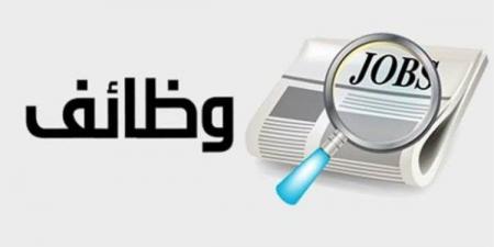 برواتب تصل لـ10 آلاف جنيه.. "وزارة العمل" تعلن عن 850 وظيفة جديدة بمزايا شاملة