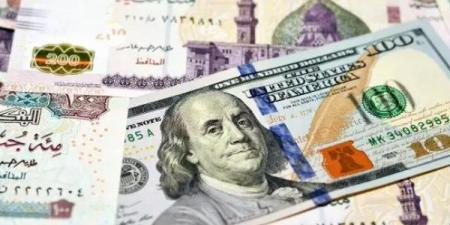 سعر الدولار في مصر اليوم الأربعاء 10-6-2026