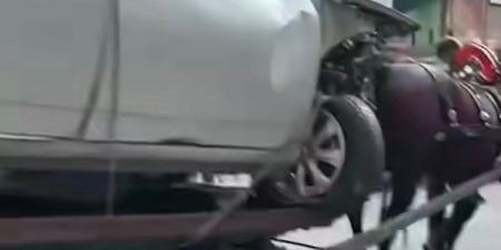 فيديو يثير السخرية والجدل: كارو بدل الونش لنقل سيارة ملاكي