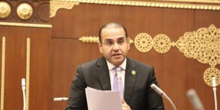 برلماني: التنسيق المصري مع قطر وتركيا يعكس مسؤولية سياسية مشتركة لإنجاح اتفاق شرم الشيخ