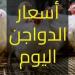 بعد انخفاض البيض.. تعرف على أسعار الطيور والدواجن في الأسواق اليوم