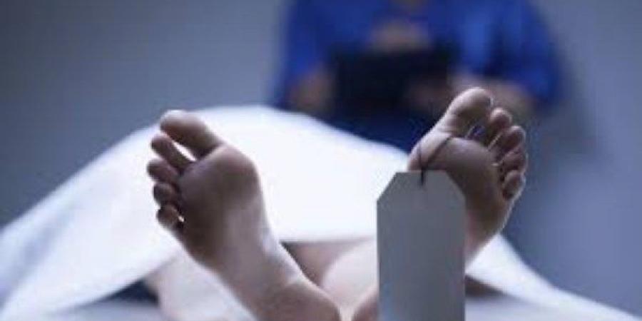مهندسة أجنبية تنهي حياتها قفزا من أعلى عقار بالمهندسين