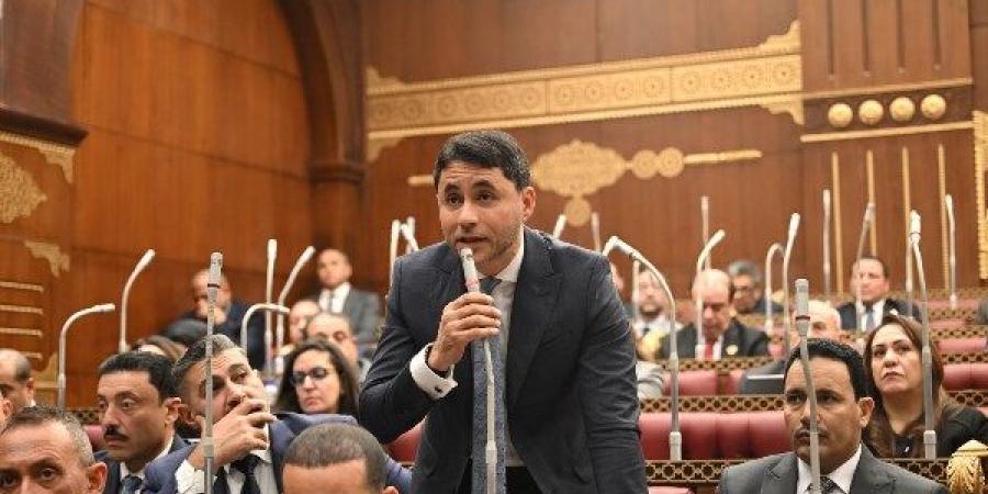 برلماني: مؤسسات المجتمع المدني شريك أساسي في دعم المنظومة الصحية وتوفير الرعاية للأطفال
