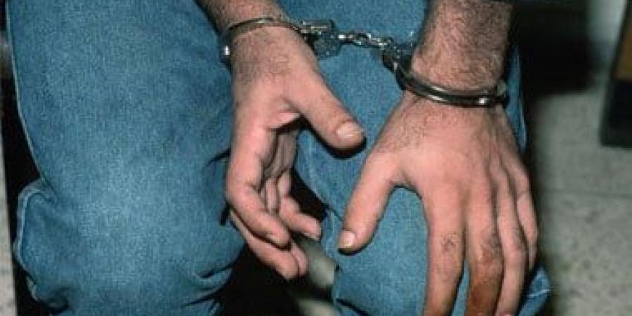 القبض على متهم بسرقة مرايا سيارة الفنانة نور