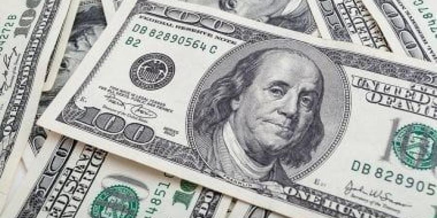 تعرف على سعر الدولار مقابل الجنيه فى البنك المركزى المصرى