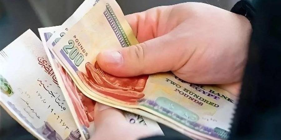 فخري الفقي: يجب ربط قيمة الدعم بالمؤشرات السعرية للسلع بما يحافظ على القوة الشرائية