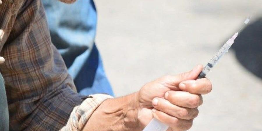 رئيس مدينة بورفؤاد : حملة مكثفة للتعامل مع الكلاب الضالة ونقلها إلى شيلتر الايواء بالقابوطي