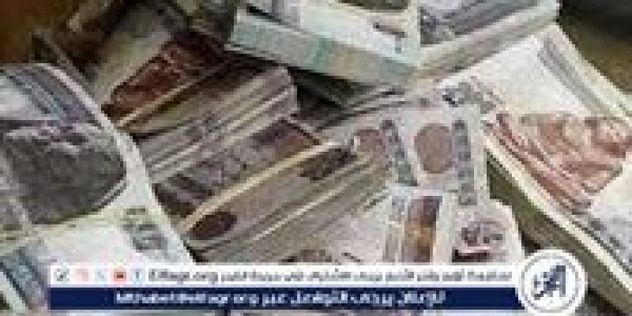 تطبيق الزيادة السنوية للمعاشات 2026.. الموعد الرسمي والنسبة المرتقبة