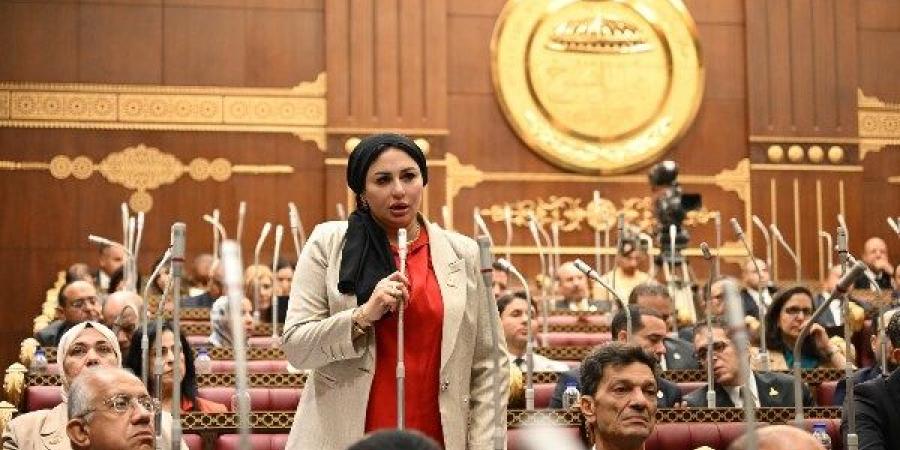 نائبة بالشيوخ: الاستثمار في الإنسان والرقابة على الأسعار أساس نجاح خطة التنمية
