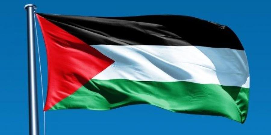 إشادة بجهود مصر لدعم فلسطين.. حزبيون: القاهرة تقود مسار التهدئة وتحظى بثقة جميع الأطراف