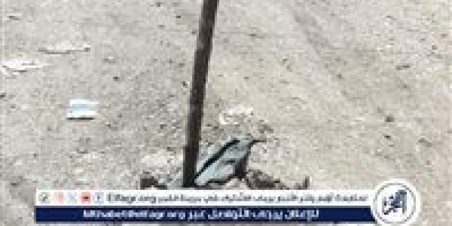 غطاء صرف صحي متهالك يتسبب في إعاقة المرور وتلفيات متكررة للسيارات بطنطا