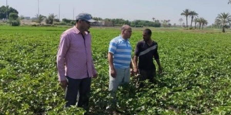 محافظ الفيوم يؤكد أهمية دعم القطاع الزراعي وتعزيز التنمية المستدامة