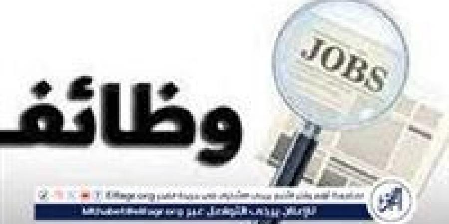 وزير العمل يعلن توفير 1590 فرصة عمل بـ11 محافظة.. وظائف متنوعة وفرص مخصصة لذوي الهمم