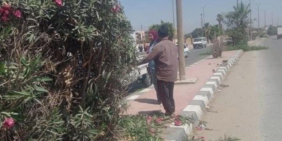 متابعة يومية لمنظومة النظافة والتجميل ورفع المخلفات للحفاظ على البيئة بالمنيا