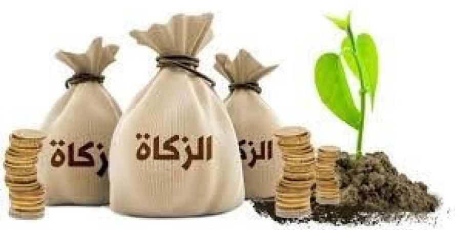 هل يجوز إخراج الزكاة في صورة منتجات مصنعة؟