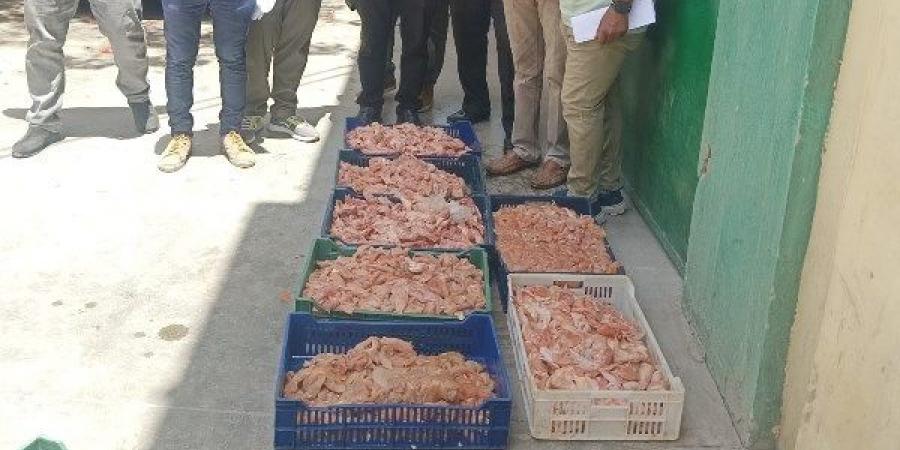 بيطري المنيا: ضبط ومصادرة نصف طن لحوم غير صالحة ومذبوحة خارج المجازر