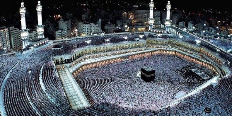 شركات السياحة: نظام جديد للتعاقد على مخيمات الخمس نجوم.. ومعاقبة المخالفين