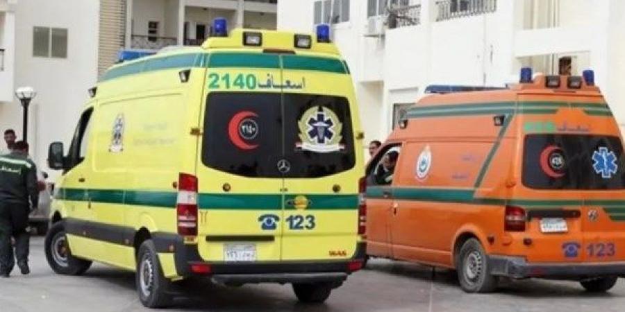 إصابة 16 عاملاً في انقلاب سيارة ربع نقل على الطريق الدولي بكفر الشيخ