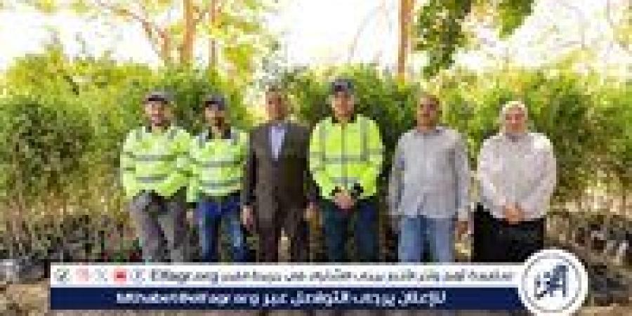 محافظ أسيوط: تشجير شوارع وميادين مركز أسيوط لتحسين البيئة