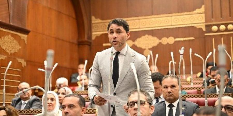 برلماني يطالب بتذليل عقبات الاستثمار وتعزيز الشراكة مع القطاع الخاص