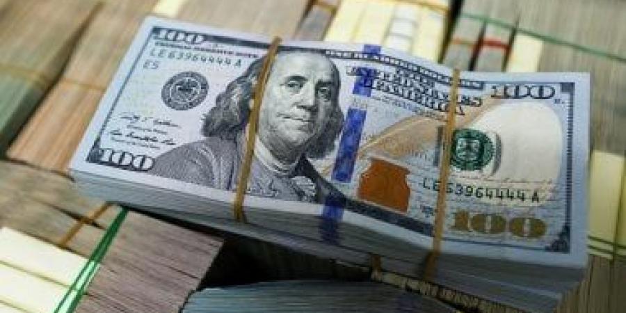 تعرف على سعر الدولار مقابل الجنيه فى البنك المركزى المصرى