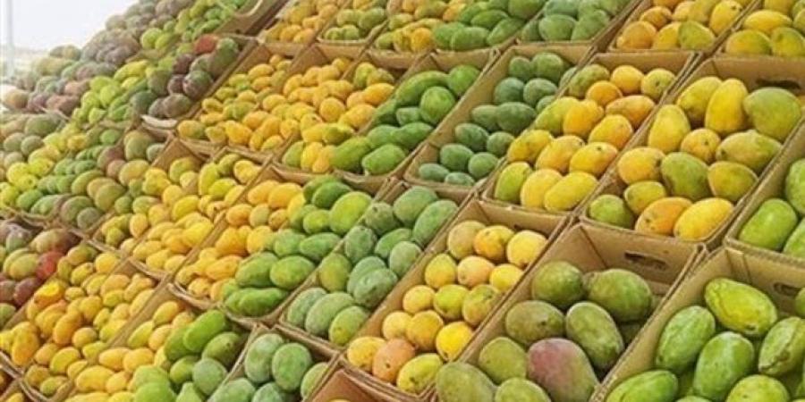 بشرى لمحبيها.. توافر 15 نوع مانجو بالأسواق.. وهذه هي الأسعار