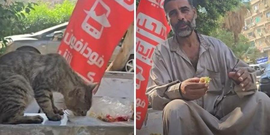 عامل باليومية يتقاسم إفطاره مع قطة جائعة في موقف إنساني يخطف القلوب