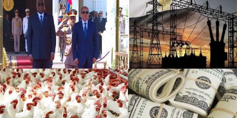 توك شو| الرئيس السيسي ونظيره الكونغولي يشهدان التوقيع على مذكرات تفاهم.. ومفاجأة بشأن الذهب والدولار والدواجن