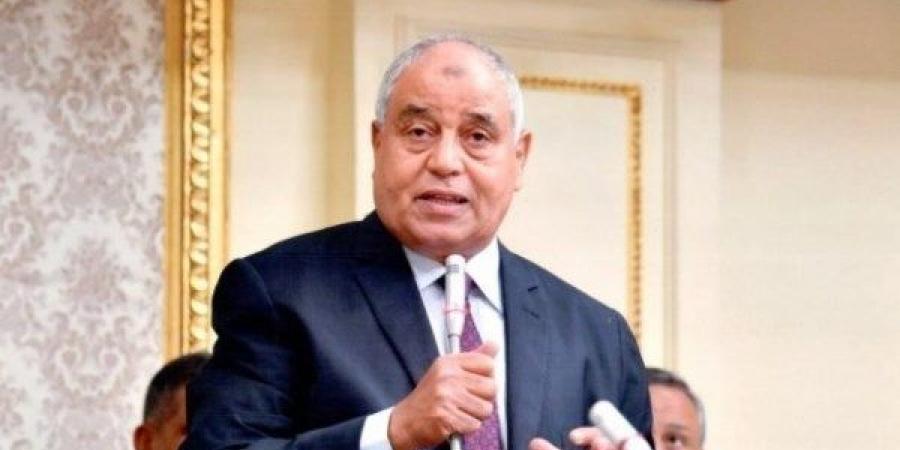 نائب يشيد بمناقشة الحكومة توسعات الشركة الصينية للإطارات وتعميق التصنيع المحلي في مصر