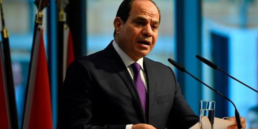 الرئيس السيسي: نؤكد حرصنا على الاستمرار فى دعم جهود إحلال السلام واستعادة الأمن فى شرق الكونغو