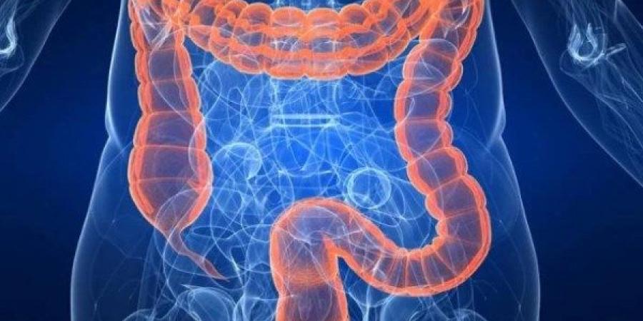 كيف تتخلص من البراز المتحجر؟.. خطوات تساعد على تنظيف الجهاز الهضمي