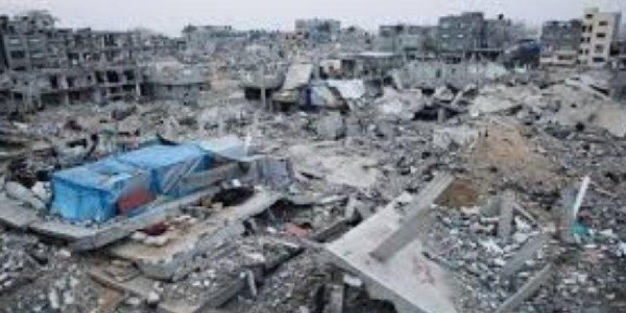 بسبب جثث القتلى.. قطاع غزة يتعرض لغزو القوارض