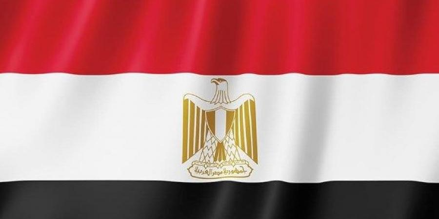 جمال رائف: مصر تعزز حضورها في أفريقيا عبر زيارات واتفاقيات استراتيجية