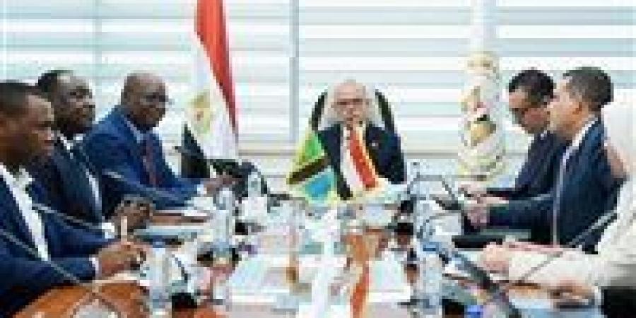 وزير الاستثمار: نعمل على توسيع نفاذ الصادرات المصرية إلى السوق التنزانية وأسواق شرق إفريقيا