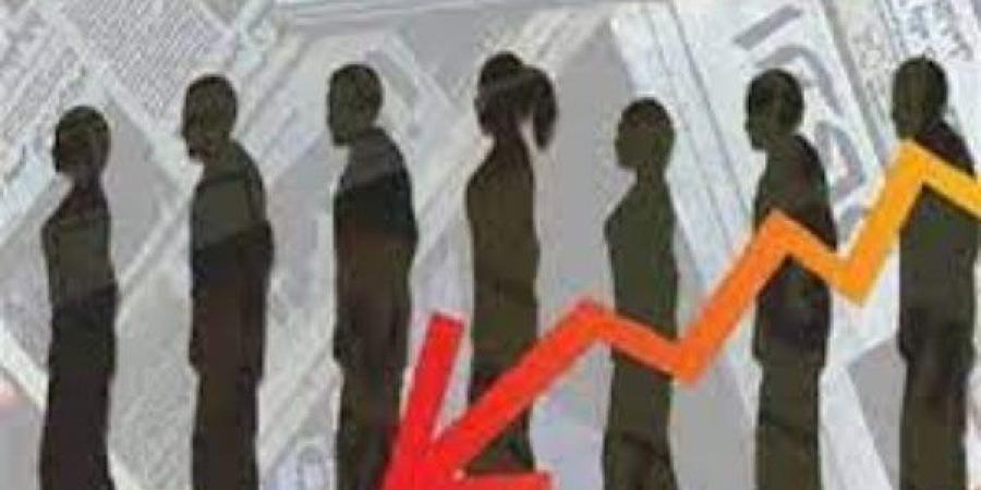 خبير تنمية موارد بشرية: الاستراتيجية الوطنية للتشغيل نقطة انطلاق لخفض البطالة