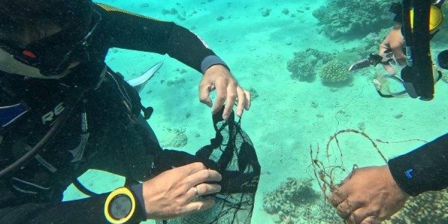 محمية وادي الجمال تنفذ سلسلة من الأنشطة البيئية والتوعوية لتعزيز حماية الموارد الطبيعية والحفاظ على التنوع البيولوجي