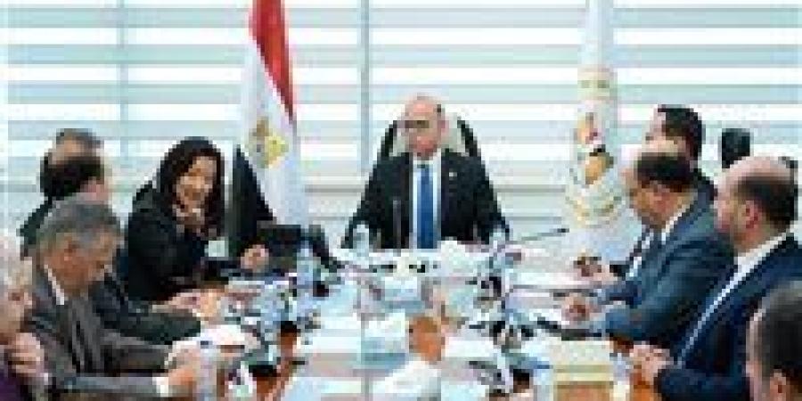 وزير الاستثمار يلتقي ممثلي برنامج الأمم المتحدة الإنمائي لبحث سبل تعزيز آليات التمويل المستدام وجذب الاستثمارات