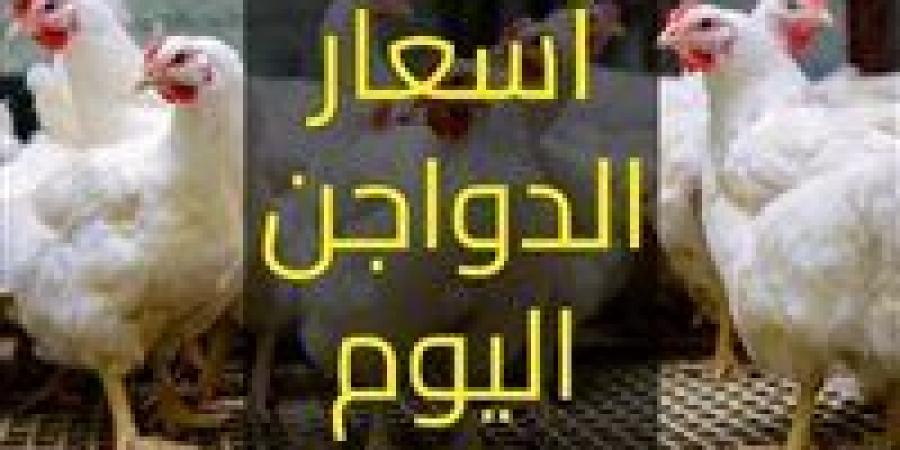 سعر الدواجن اليوم الخميس في الأسواق