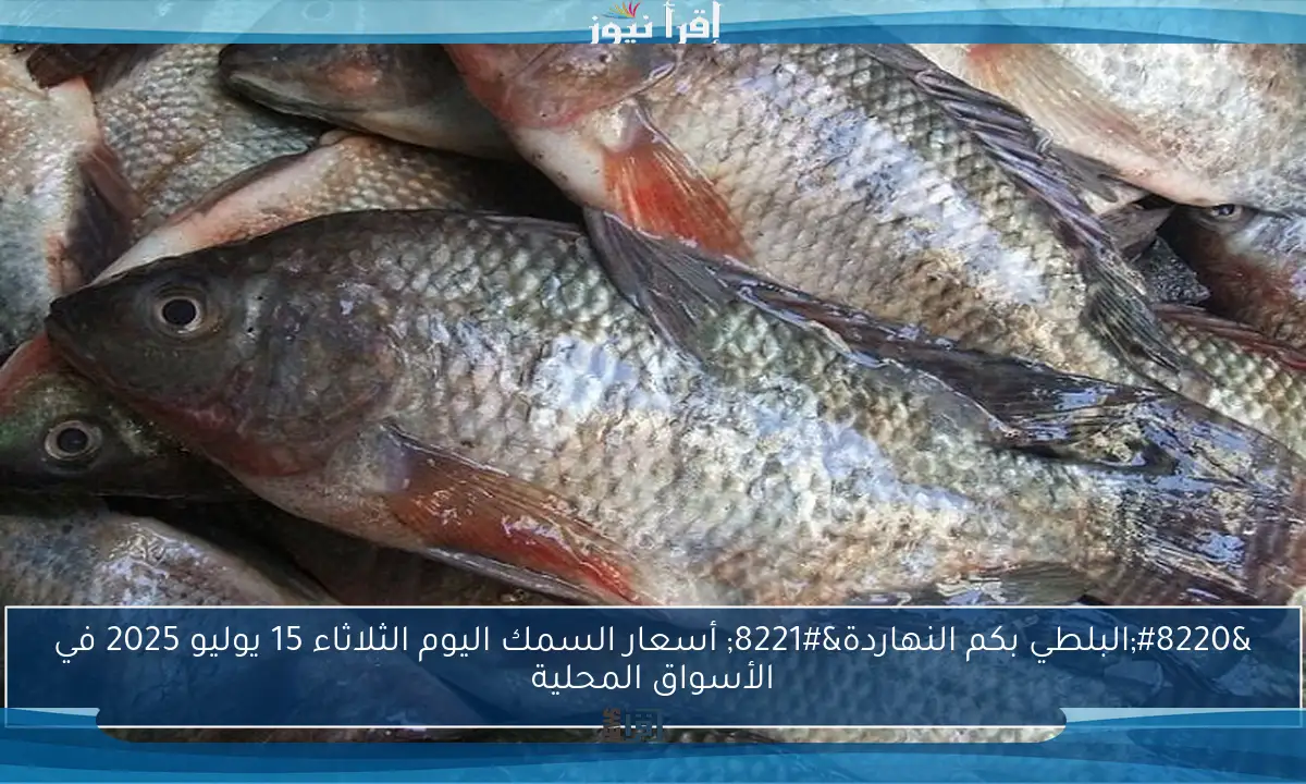 “البلطي بكم النهاردة” أسعار السمك اليوم الثلاثاء 15 يوليو 2025 في الأسواق المحلية