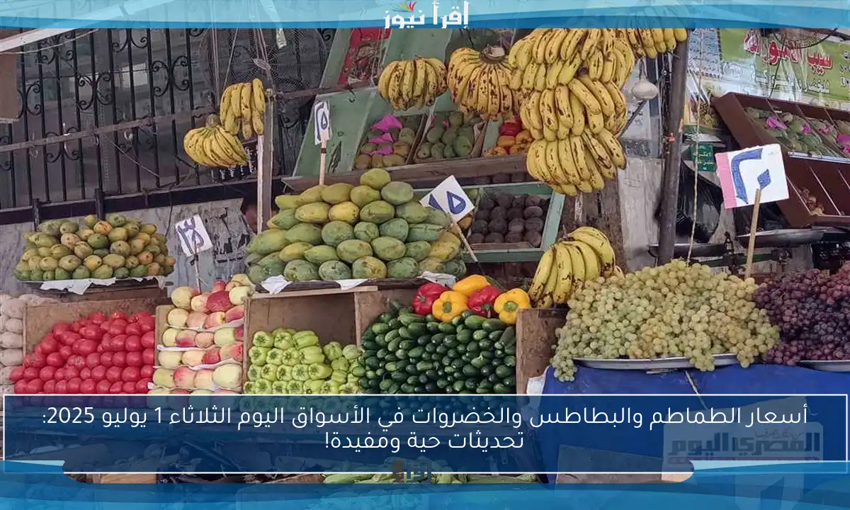 أسعار الطماطم والبطاطس والخضروات في الأسواق اليوم الثلاثاء 1 يوليو 2025: تحديثات حية ومفيدة!