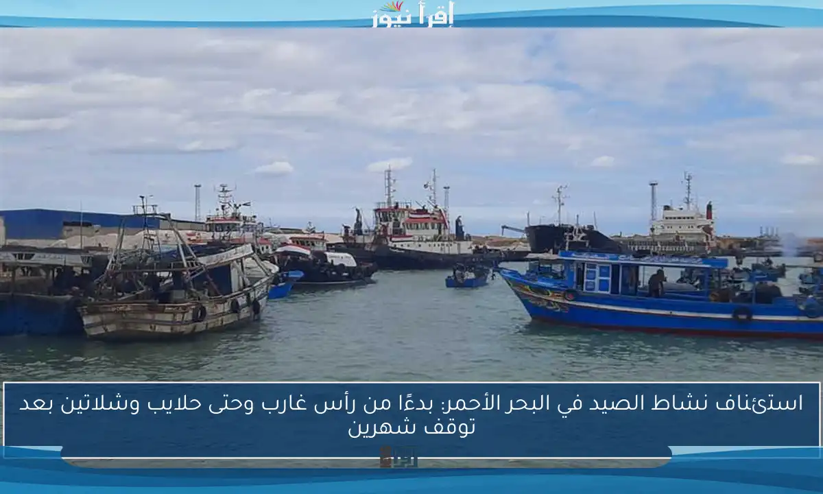 استئناف نشاط الصيد في البحر الأحمر: بدءًا من رأس غارب وحتى حلايب وشلاتين بعد توقف شهرين