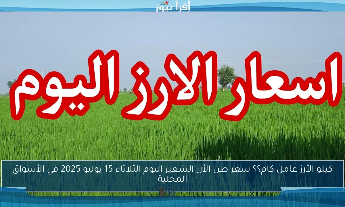 كيلو الأرز عامل كام؟؟ سعر طن الأرز الشعير اليوم الثلاثاء 15 يوليو 2025 في الأسواق المحلية