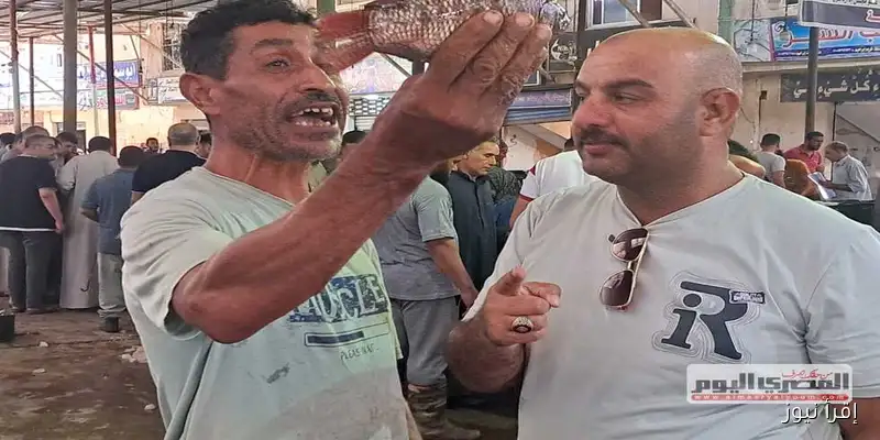 أسعار الأسماك في بورصة السمك بمدينة الرياض بكفر الشيخ: كل ما تحتاج معرفته