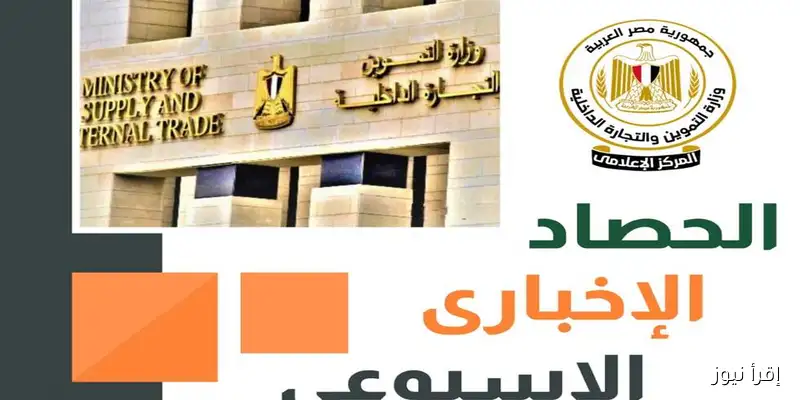 افتتاح معرض أهلا مدارس وتغييرات جديدة في 11 محافظة: أبرز أنشطة وزارة التموين خلال الأسبوع