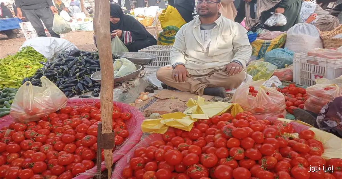 أسعار الخضروات والفاكهة اليوم في الشرقية: الطماطم بـ10 جنيهات الأحد 14 سبتمبر 2025