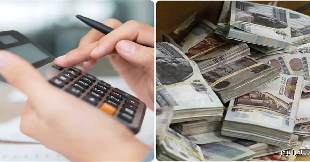 شهادة ادخار جديدة في 2025: فائدة تصل إلى 100% وزيادة الضعف على المبلغ المودع