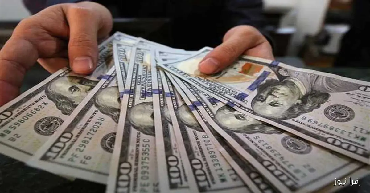 تراجع سعر الدولار اليوم: تحديث لأسعار العملات في منتصف تعاملات البنك الأهلي الاثنين 15 سبتمبر 2025