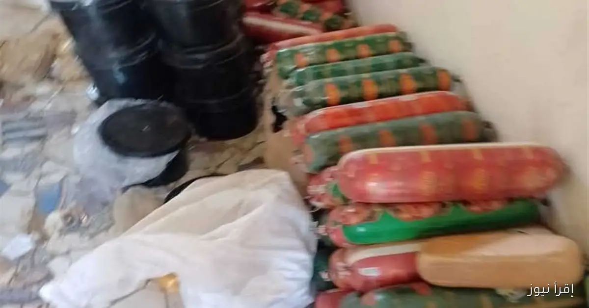 ضبط 7 أطنان من اللانشون والأدوية والمكملات الغذائية منتهية الصلاحية خلال حملة تفتيشية في الشرقية
