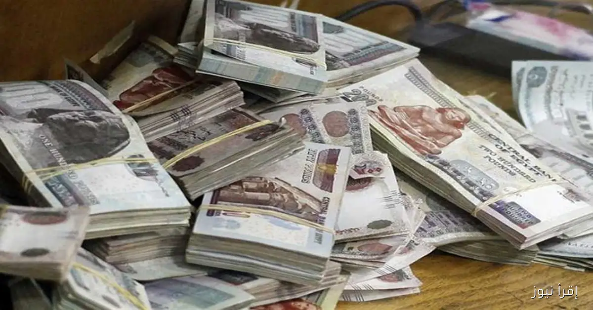 وزارة المالية تكشف عن موعد صرف مرتبات شهور سبتمبر حتى ديسمبر 2025